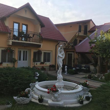 Pensiunea Darius Costinesti Luaran gambar